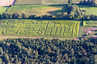Aerial photograpy of Corn maze, wedding location and beach lounge Seehof in Steinweiler in the state Rhineland-Palatinate, Germany