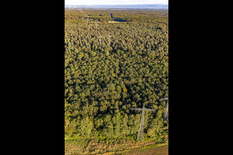 Oblique view of Wörth am Rhein in the state Rhineland-Palatinate, Germany