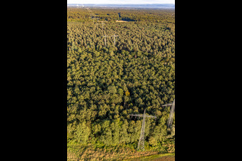 Two parallel high-voltage lines over the Bienwald in Wörth am Rhein in the state Rhineland-Palatinate, Germany
