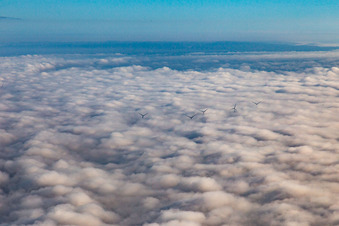 Aerial photograpy of Rotors of the wind farm near Offenbach rise above the low clouds in Offenbach an der Queich in the state Rhineland-Palatinate, Germany