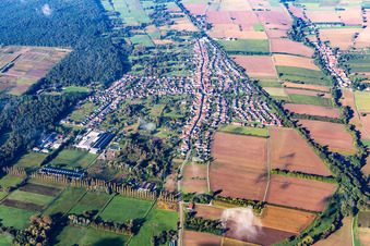 Aerial photograpy of From the east in the district Schaidt in Wörth am Rhein in the state Rhineland-Palatinate, Germany