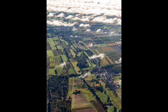 Billigheimer Bruch from the west in the district Mühlhofen in Billigheim-Ingenheim in the state Rhineland-Palatinate, Germany