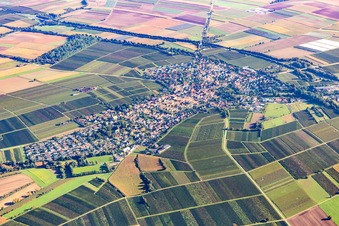 Town from the southwest in Insheim in the state Rhineland-Palatinate, Germany