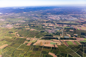 From the south in Landau in der Pfalz in the state Rhineland-Palatinate, Germany