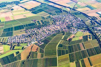 Aerial view of Town from the southwest in Insheim in the state Rhineland-Palatinate, Germany