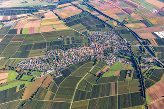 Town from the south in Insheim in the state Rhineland-Palatinate, Germany