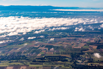 Wind farm near Freckenfeld in Hergersweiler in the state Rhineland-Palatinate, Germany