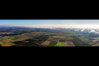 Panorama Tiefental in Billigheim-Ingenheim in the state Rhineland-Palatinate, Germany