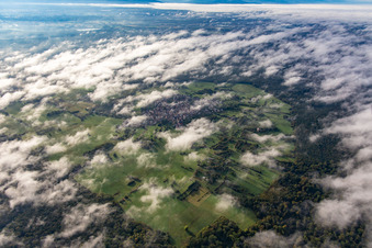 An island in the Bienwald under clouds in the district Büchelberg in Wörth am Rhein in the state Rhineland-Palatinate, Germany
