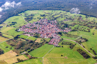 Oblique view of An island in the Bienwald under clouds in the district Büchelberg in Wörth am Rhein in the state Rhineland-Palatinate, Germany