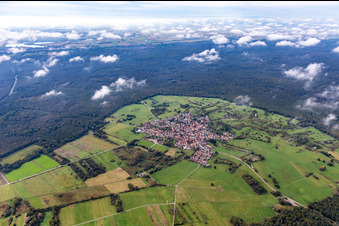 An island in the Bienwald under clouds in the district Büchelberg in Wörth am Rhein in the state Rhineland-Palatinate, Germany from above
