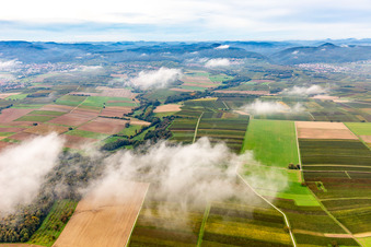 Aerial view of Horbachtal under autumn clouds from the east in the district Ingenheim in Billigheim-Ingenheim in the state Rhineland-Palatinate, Germany
