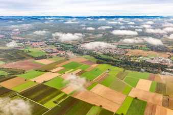 Village under autumn clouds in the district Mühlhofen in Billigheim-Ingenheim in the state Rhineland-Palatinate, Germany