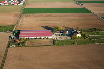 Bird's eye view of Equestrian center Fohlenhof in Steinweiler in the state Rhineland-Palatinate, Germany
