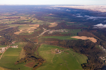 Bison Ranch in Petit-Réderching in the state Moselle, France