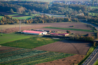 Chicken farm egg farm in Erlenbach bei Kandel in the state Rhineland-Palatinate, Germany out of the air