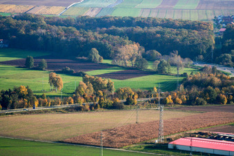 Cell phone tower at the egg farm in Erlenbach bei Kandel in the state Rhineland-Palatinate, Germany