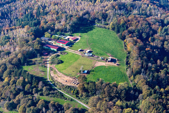 SV König Ludwig 1906 eV Lautzkirchen in the district Lautzkirchen in Blieskastel in the state Saarland, Germany
