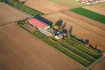 Aerial view of Foal farm in Steinweiler in the state Rhineland-Palatinate, Germany