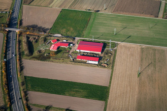 Chicken farm egg farm in Erlenbach bei Kandel in the state Rhineland-Palatinate, Germany seen from above