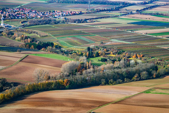 Aerial view of ASV Clear Water in the Quodbachtal at the Fischerhütte in Insheim in the state Rhineland-Palatinate, Germany