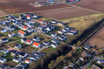 Aerial view of Violet Path, Daffodil Path in Kandel in the state Rhineland-Palatinate, Germany