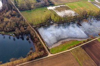 Frozen flooded meadows in Rülzheim in the state Rhineland-Palatinate, Germany