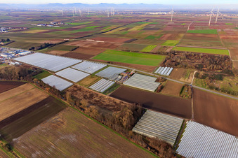 Ensemble of greenhouses and foil tunnels at Klingbach in Herxheim bei Landau in the state Rhineland-Palatinate, Germany