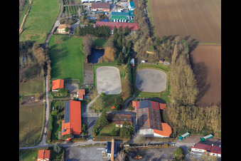 Horse farm on Langgasserweg in Herxheim bei Landau in the state Rhineland-Palatinate, Germany