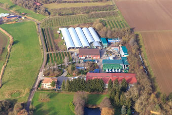 Aerial view of Zirker Fruit Farm in Herxheim bei Landau in the state Rhineland-Palatinate, Germany