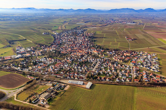 View of the town from the east in Insheim in the state Rhineland-Palatinate, Germany