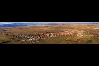 View of the town from the south in Insheim in the state Rhineland-Palatinate, Germany