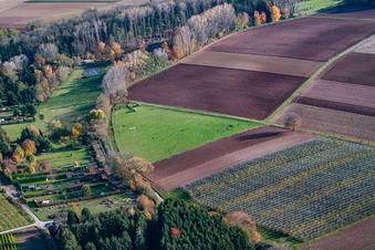 Oblique view of Pasture in Rohrbach in the state Rhineland-Palatinate, Germany