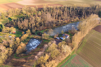Aerial view of ASV Clear Water Insheim at the Quodbach in winter in Insheim in the state Rhineland-Palatinate, Germany