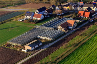 Aerial view of Former nursery on Grasweg in Winden in the state Rhineland-Palatinate, Germany