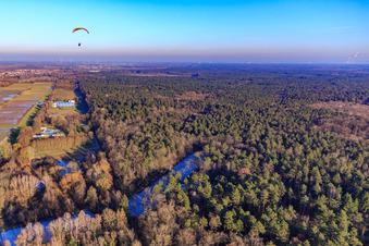 Frozen fish ponds on the edge of the Bienwald in Steinfeld in the state Rhineland-Palatinate, Germany