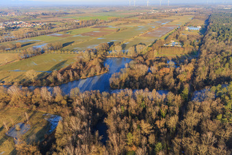 Aerial view of Frozen fish ponds on the edge of the Bienwald in Steinfeld in the state Rhineland-Palatinate, Germany