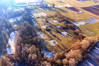 Oblique view of Frozen fish ponds on the edge of the Bienwald in Steinfeld in the state Rhineland-Palatinate, Germany