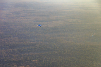 Sports aircraft D-MFFA over the Bienwald in the district Büchelberg in Wörth am Rhein in the state Rhineland-Palatinate, Germany