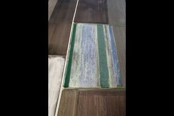 Aerial view of Lettuce fields in Offenbach an der Queich in the state Rhineland-Palatinate, Germany