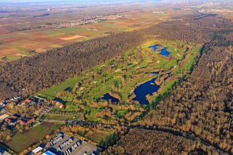 Golf course Landgut Dreihof - GOLF absolute in winter in Offenbach an der Queich in the state Rhineland-Palatinate, Germany