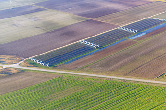 Open polytunnel greenhouses in Offenbach an der Queich in the state Rhineland-Palatinate, Germany