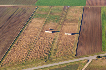 Mobile chicken coops in Offenbach an der Queich in the state Rhineland-Palatinate, Germany