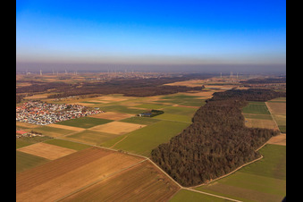 View of the town from the west in Steinweiler in the state Rhineland-Palatinate, Germany