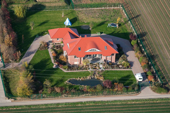 Bird's eye view of Vegetable cultivation - Dieter Stubenbordt in Zeiskam in the state Rhineland-Palatinate, Germany