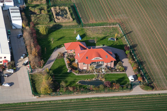 Vegetable cultivation - Dieter Stubenbordt in Zeiskam in the state Rhineland-Palatinate, Germany viewn from the air