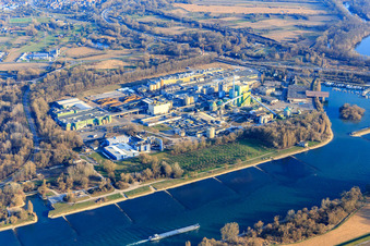 Maxauer Papierfabrik GmbH and Borregaard Deutschland GmbH on the banks of the Rhine from the northwest in the district Knielingen in Karlsruhe in the state Baden-Wuerttemberg, Germany