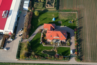 Vegetable cultivation - Dieter Stubenbordt in Zeiskam in the state Rhineland-Palatinate, Germany from the drone perspective