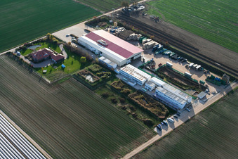 Vegetable cultivation - Dieter Stubenbordt in Zeiskam in the state Rhineland-Palatinate, Germany from a drone