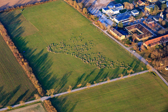 Stutensee/Friedrichstal